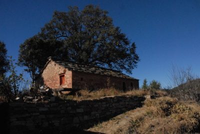 temple or dharamshala-dadima